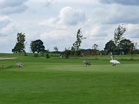 club2011_69 