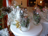 club2011_90 