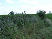 rookledge_2011_52 