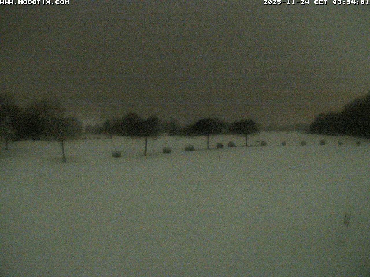 Live-Webcam Golfplatz Siek - Blick vom Clubhaus auf das Grün der B9 und das vordere Puttinggreen